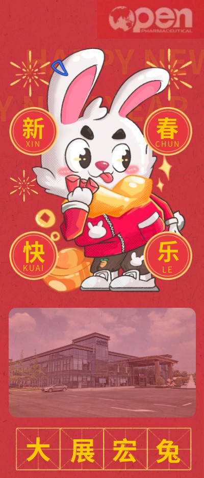 新年快樂(lè)，大展宏“兔”.jpg